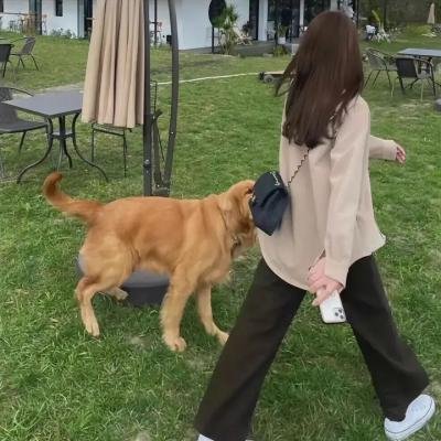 全面追缉